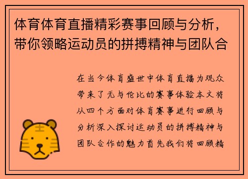 体育体育直播精彩赛事回顾与分析，带你领略运动员的拼搏精神与团队合作魅力